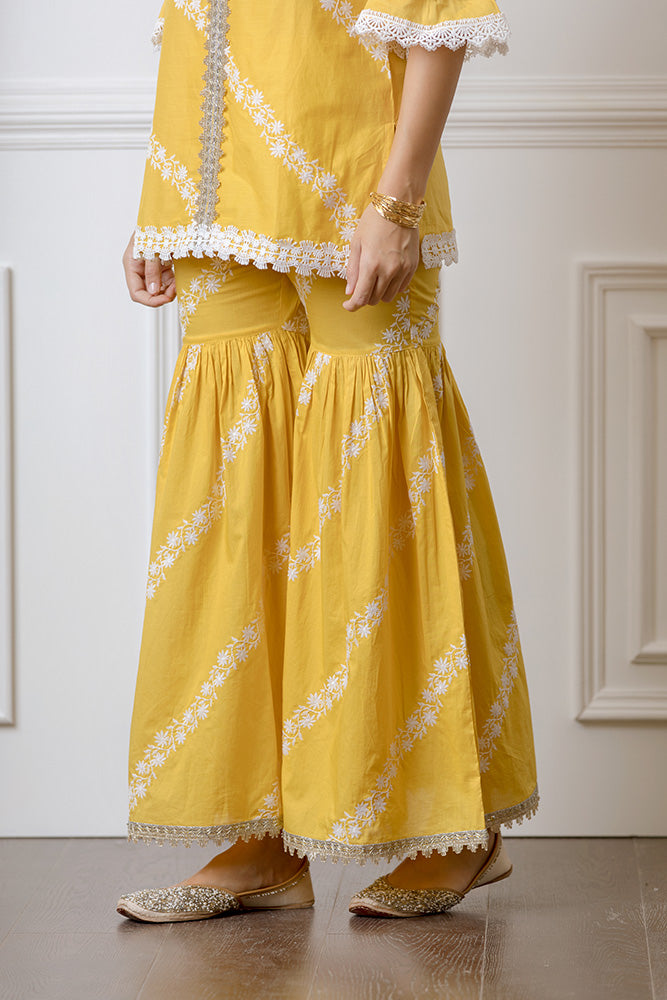 Aralia Kurta with Garara Set