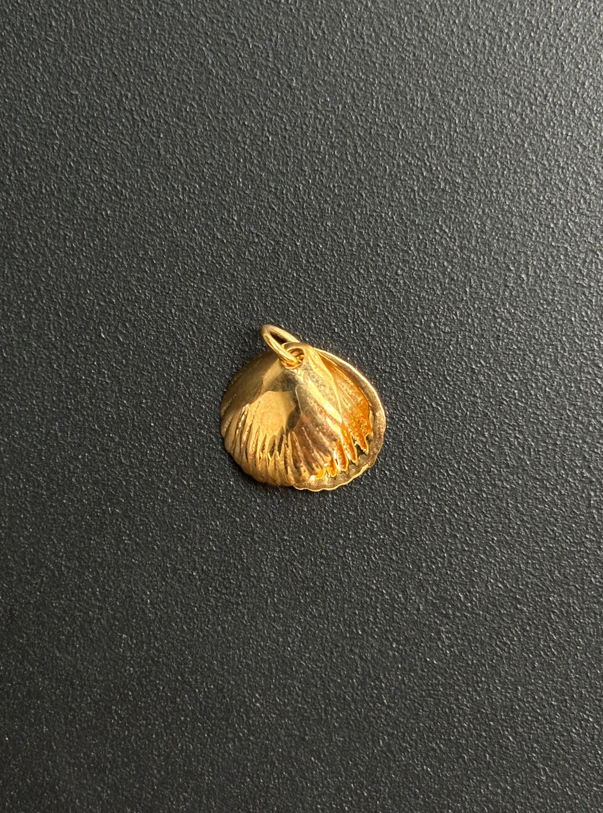 Ice Shell Charm Shell Charm