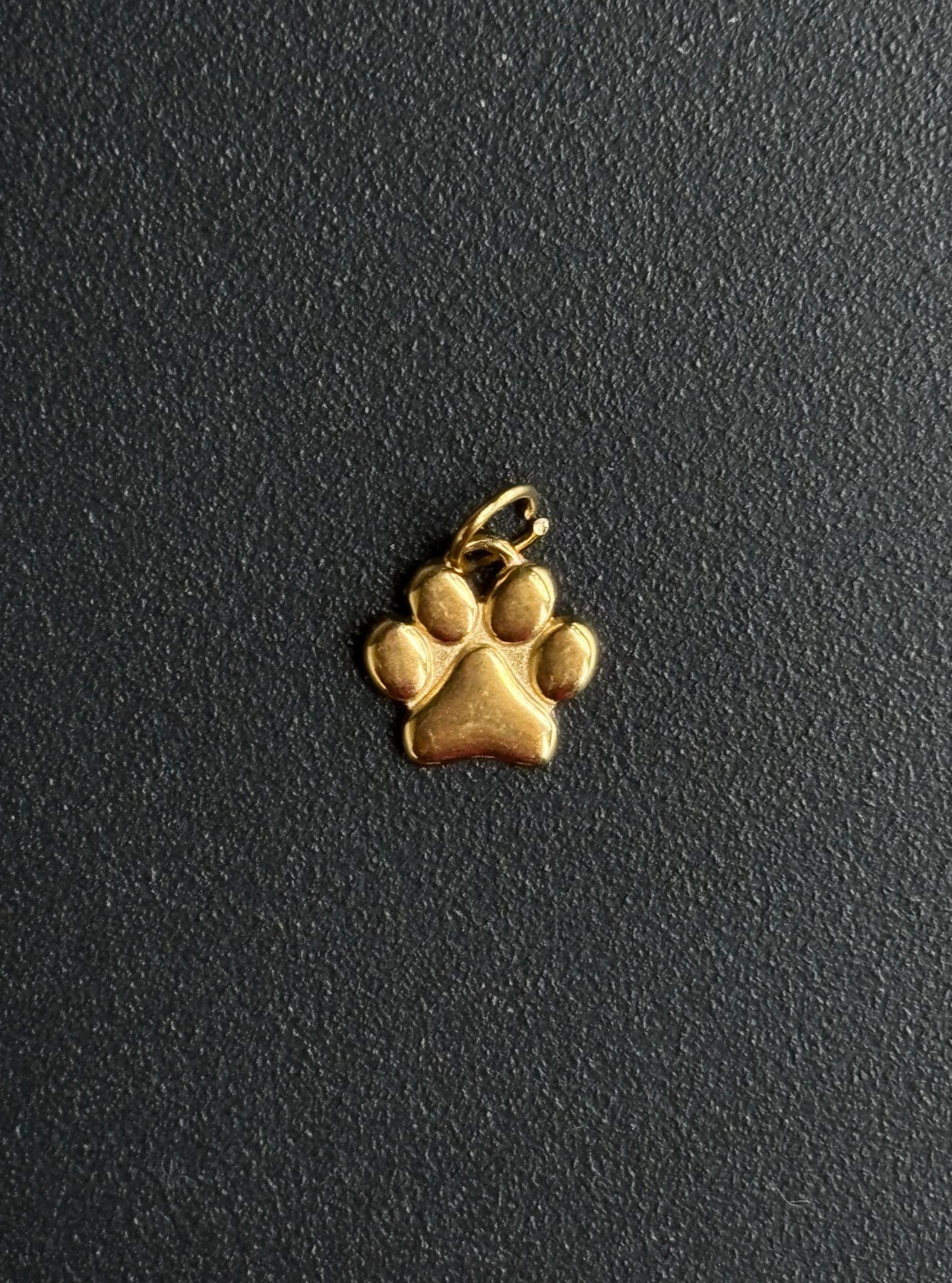 Classsic Paw Charm
