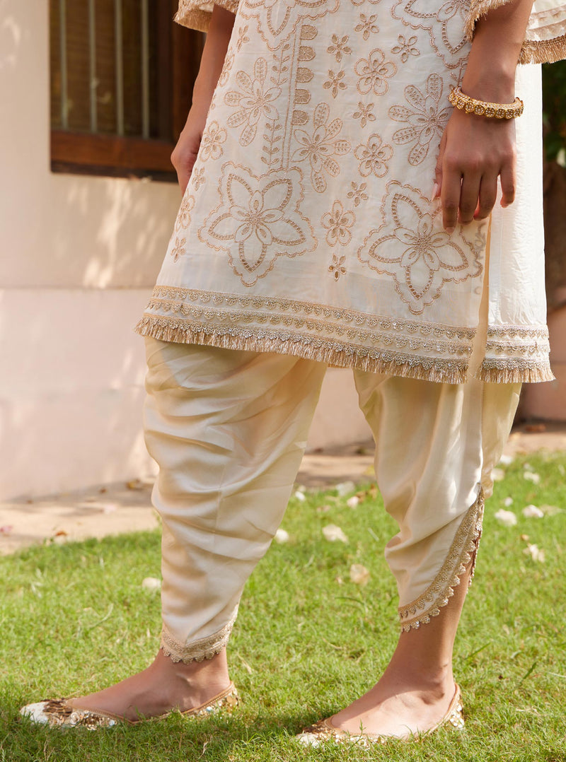 Ekani Organza Grey Kurta with Salwar Set