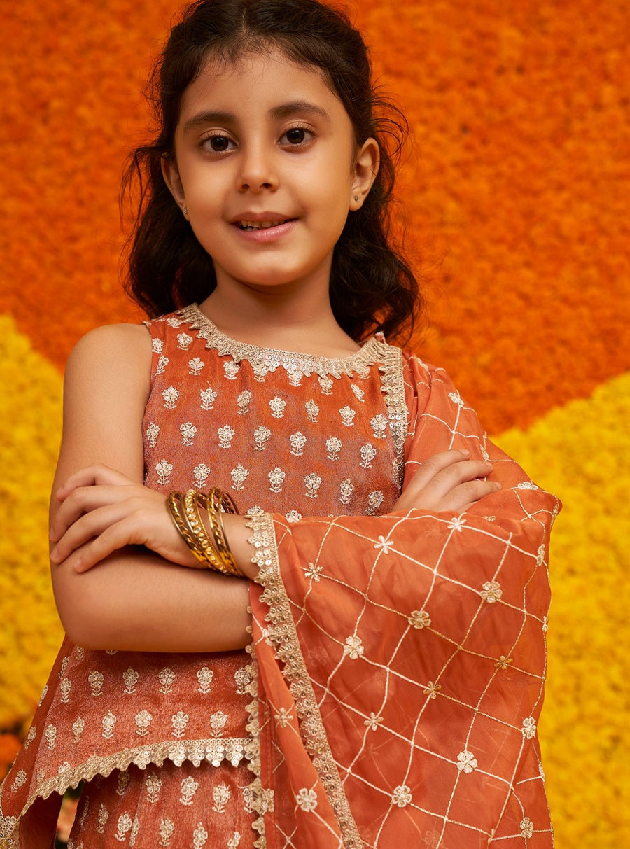 Naira Royal Tissue Pink Kurta with Lehenga Set