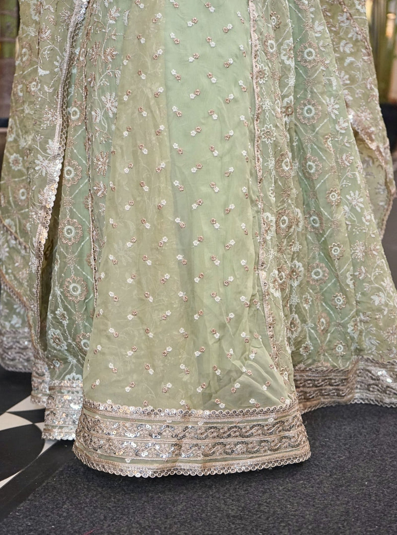MULMUL RUHINA RED & GREEN LEHENGA main image 0