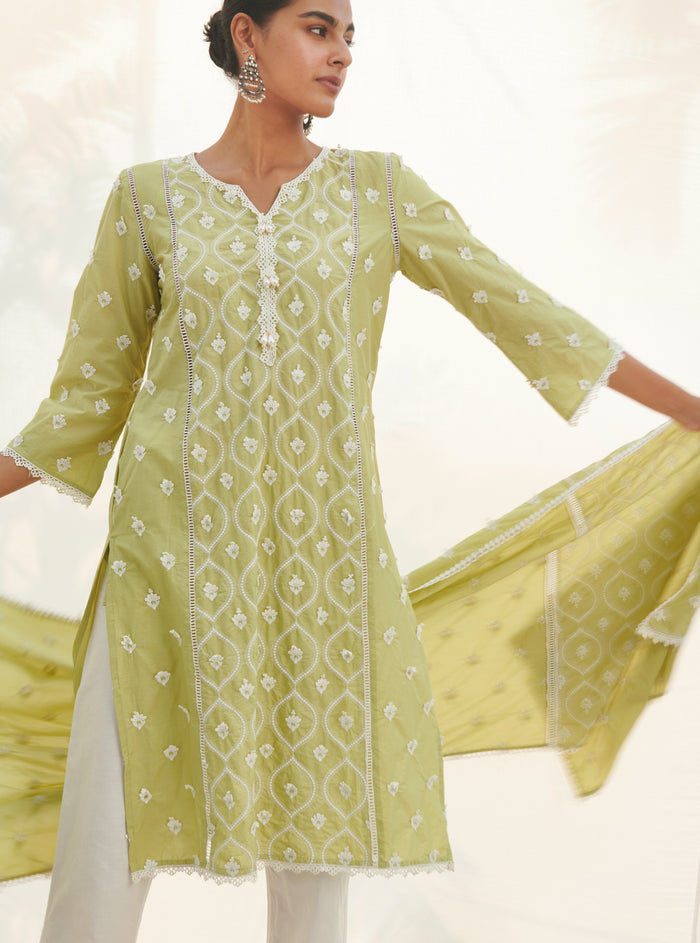 Mulmul Organza Rivona Lime kurta