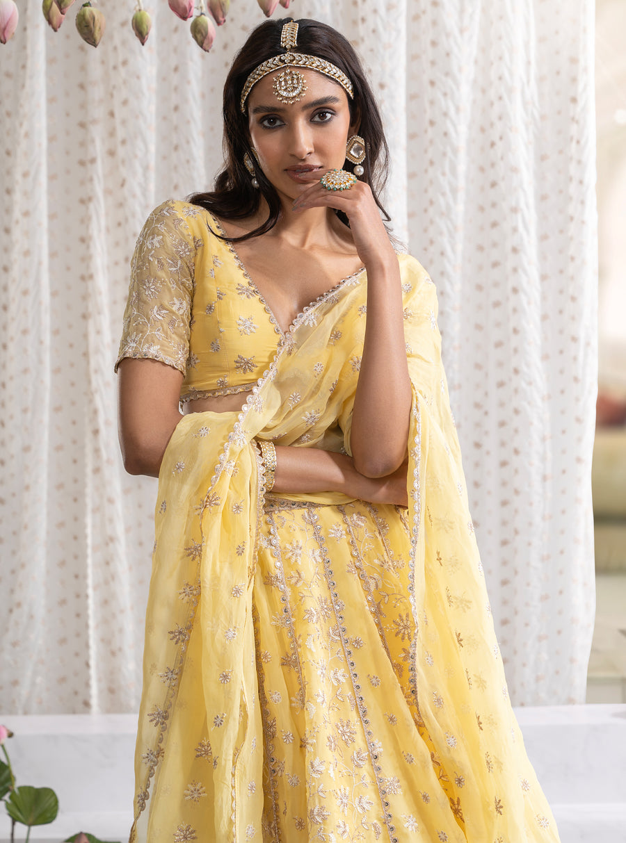 Set VI Yellow
